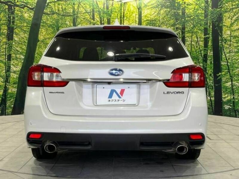 LEVORG