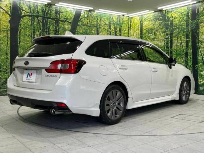 LEVORG