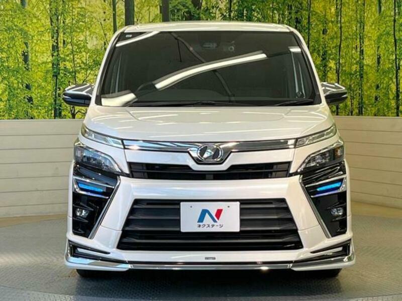 VOXY-13