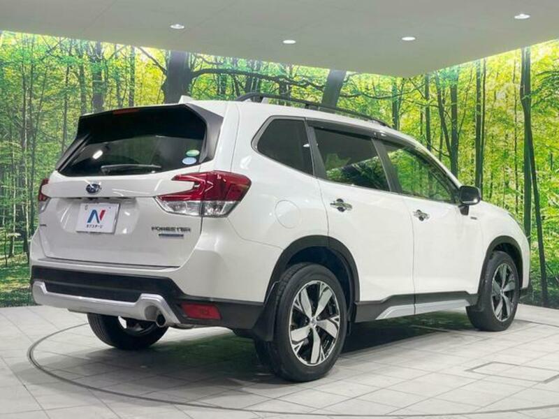 FORESTER