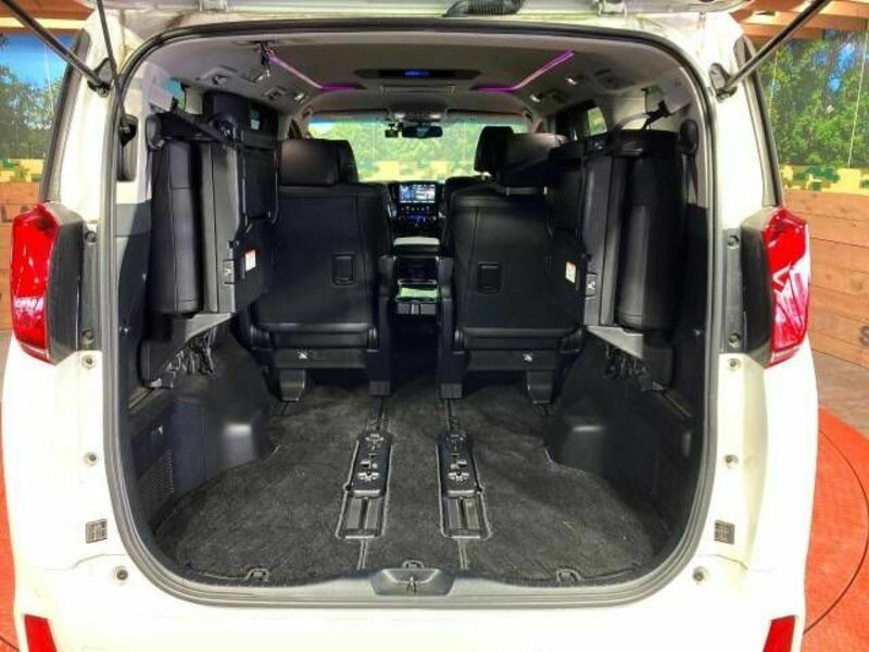 ALPHARD-10
