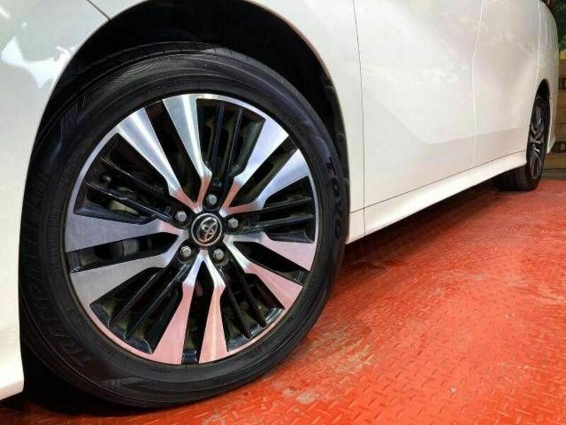 ALPHARD-13