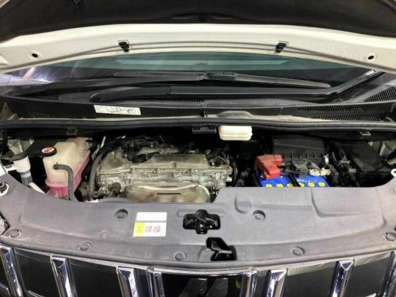 ALPHARD-18