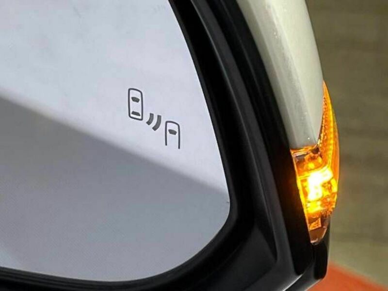 ALPHARD-6