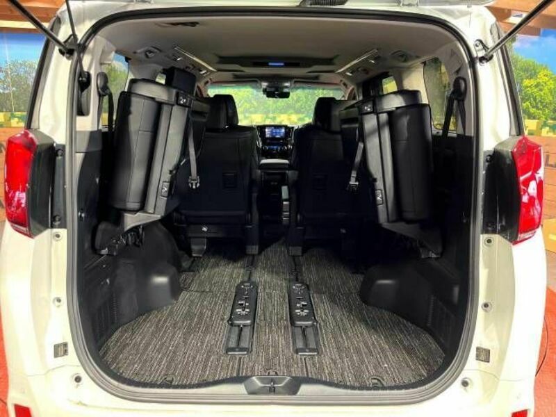 ALPHARD-10