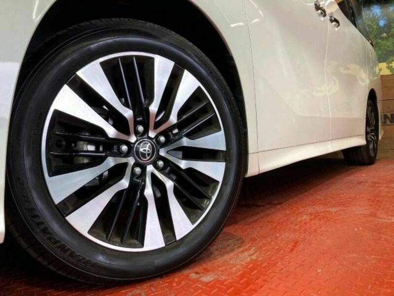 ALPHARD-13