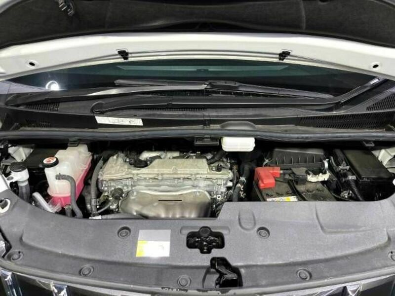 ALPHARD-18