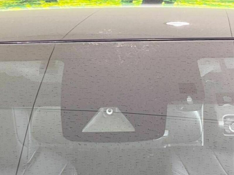 PRIUS-2