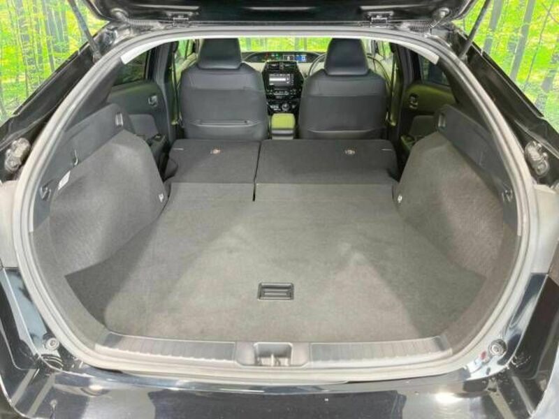 PRIUS-9