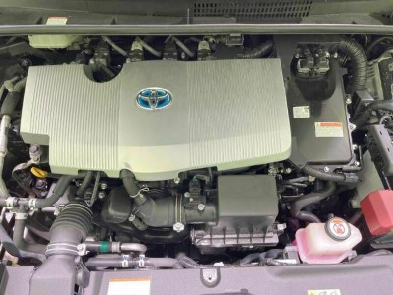 PRIUS-17