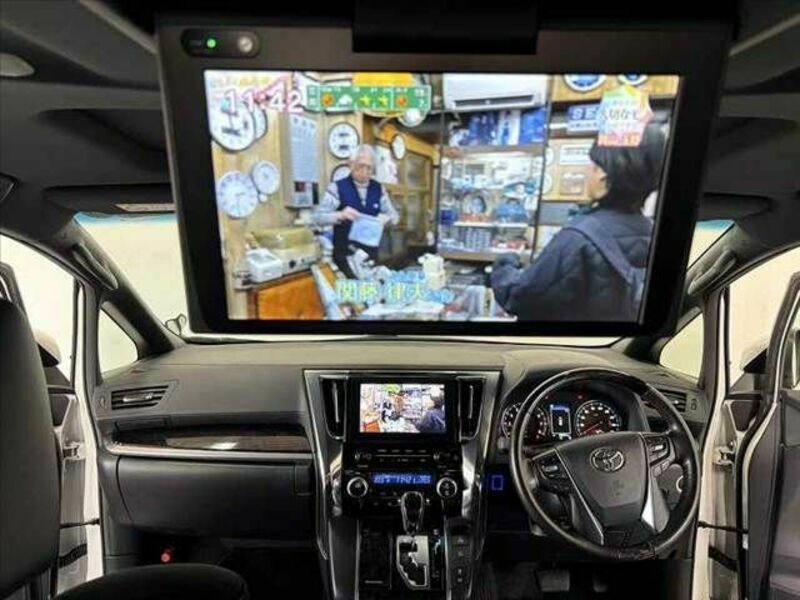 ALPHARD-1