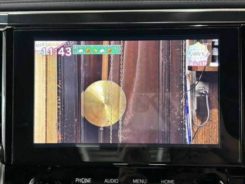 ALPHARD-21