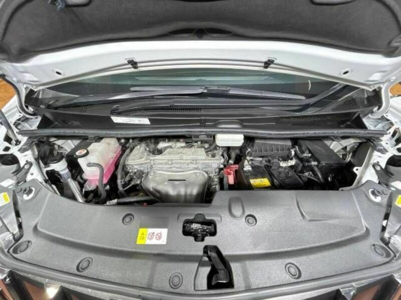 ALPHARD-19