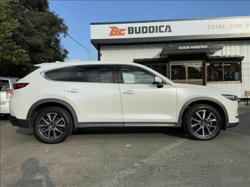 CX-8-6