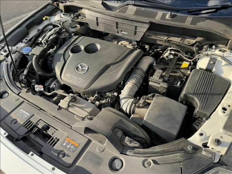 CX-8-19