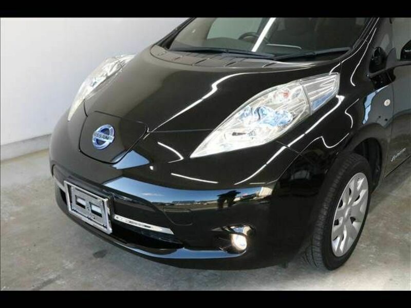 LEAF-12