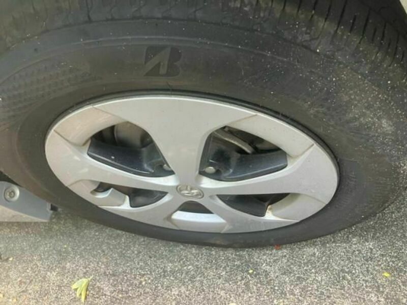 PRIUS-7