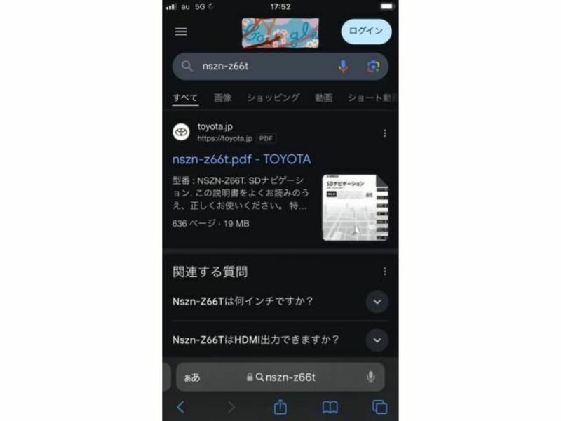 VOXY-19