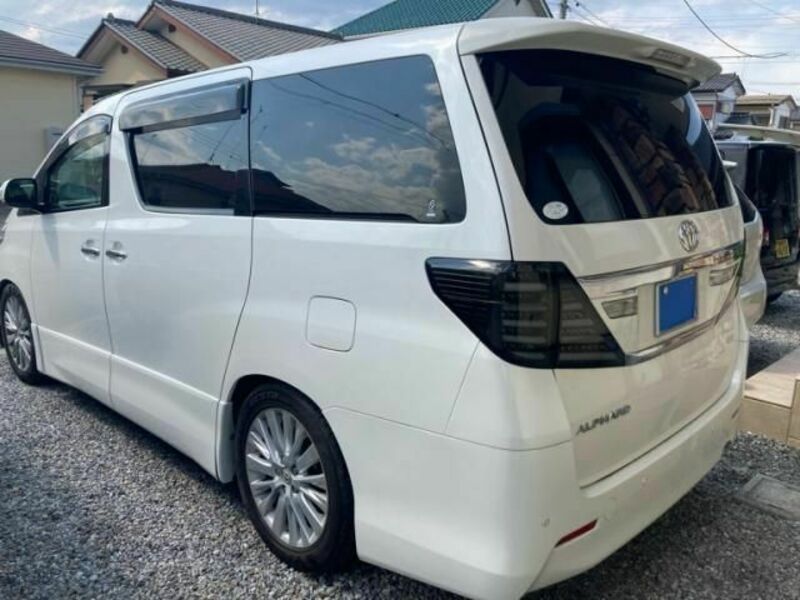 ALPHARD-4