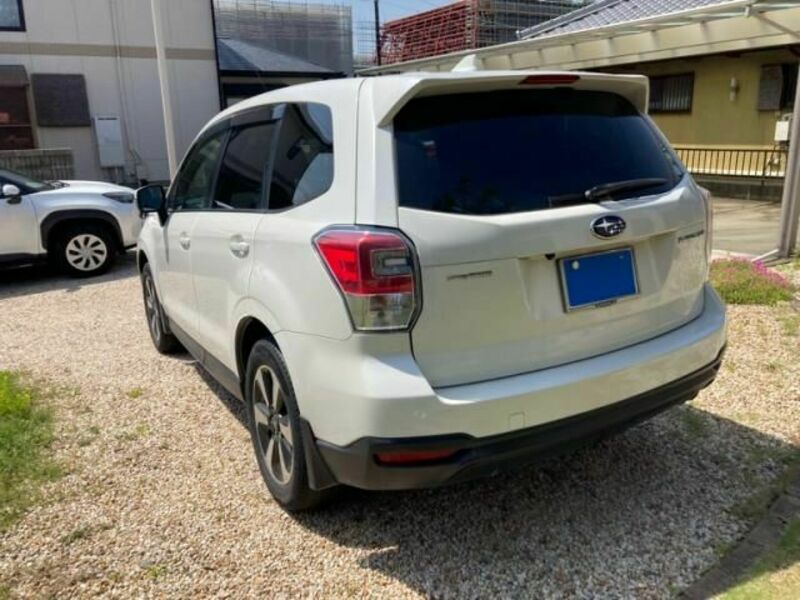 FORESTER