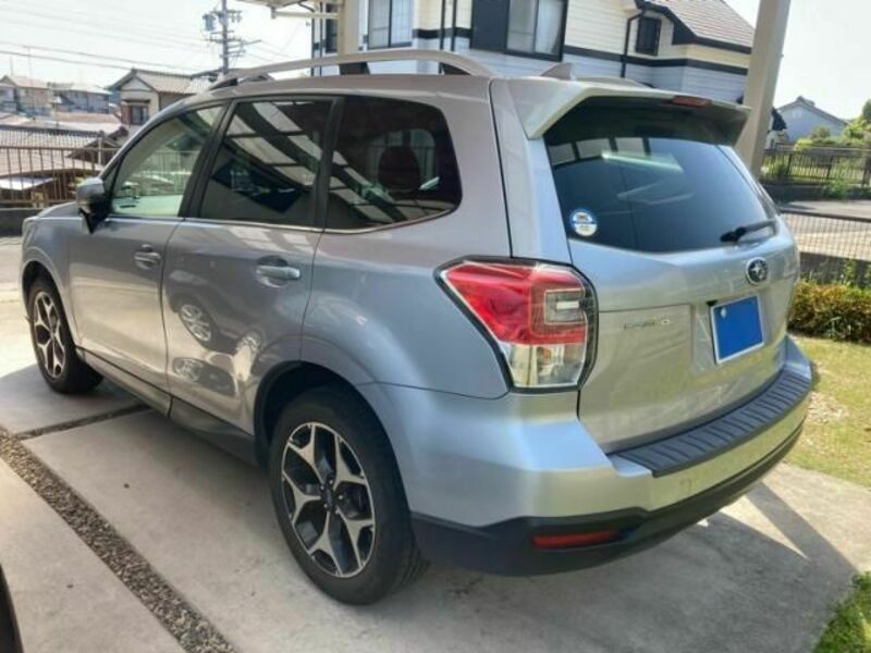 FORESTER