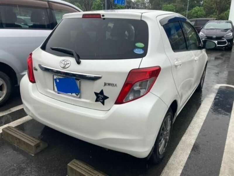 VITZ-1