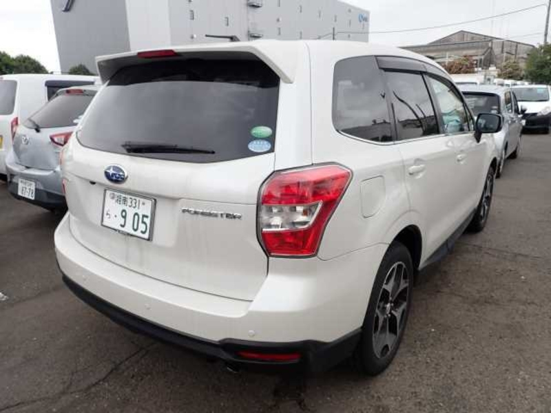 FORESTER