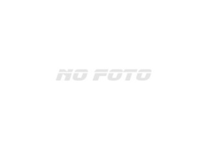 NOAH-10