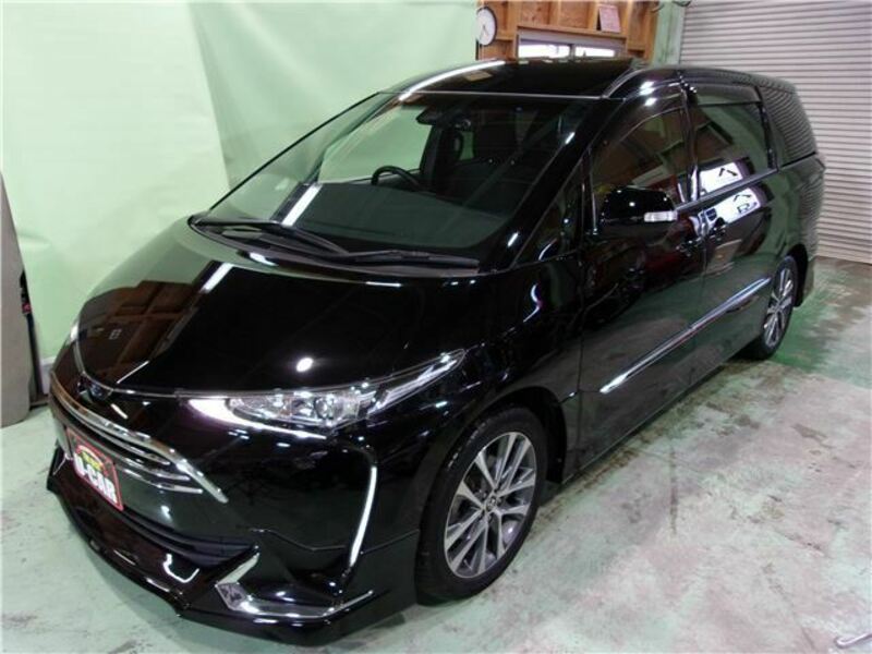 ESTIMA-10