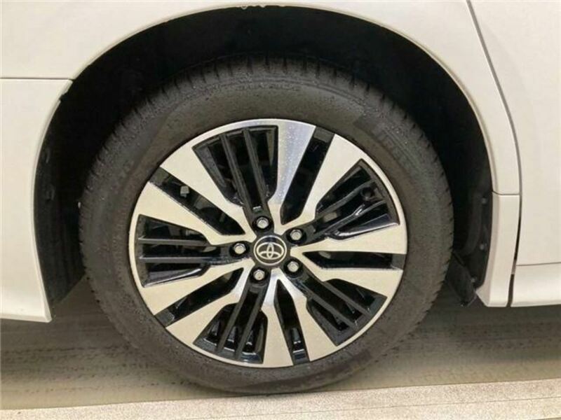 ALPHARD-4