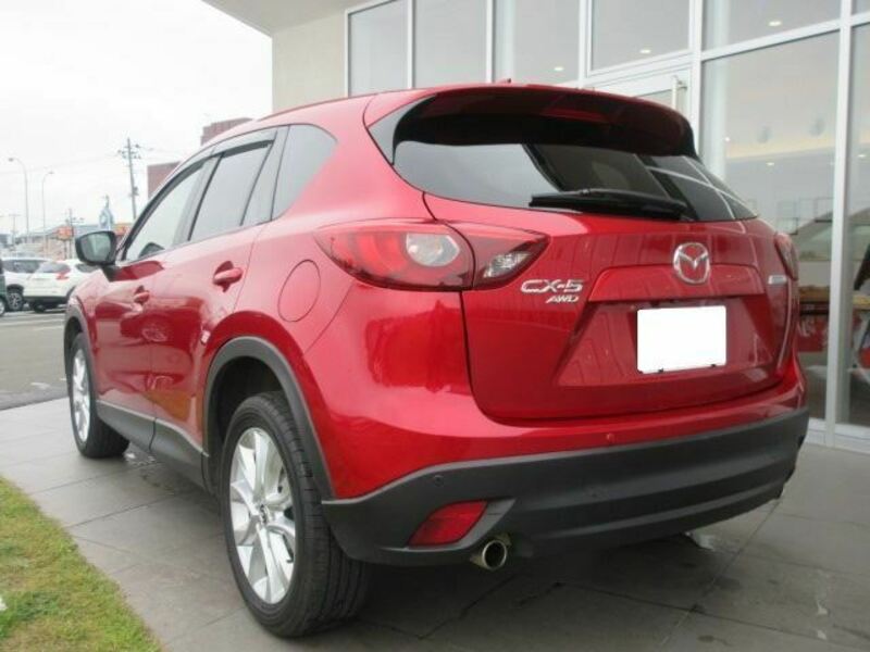CX-5-3