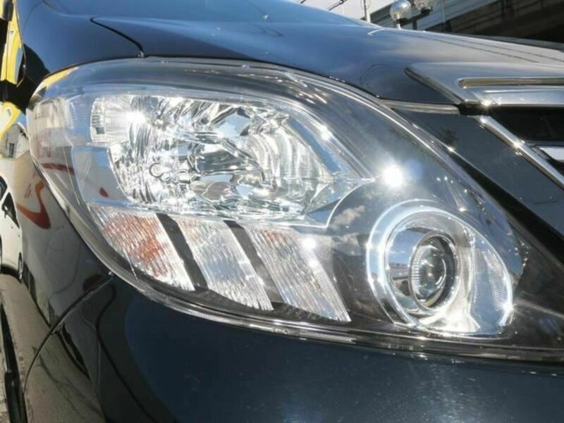 ALPHARD-18