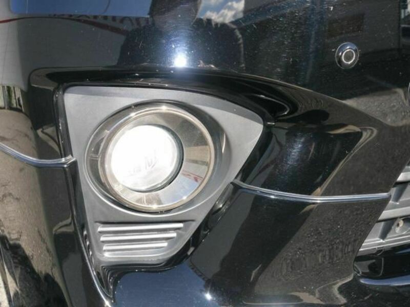 ALPHARD-19