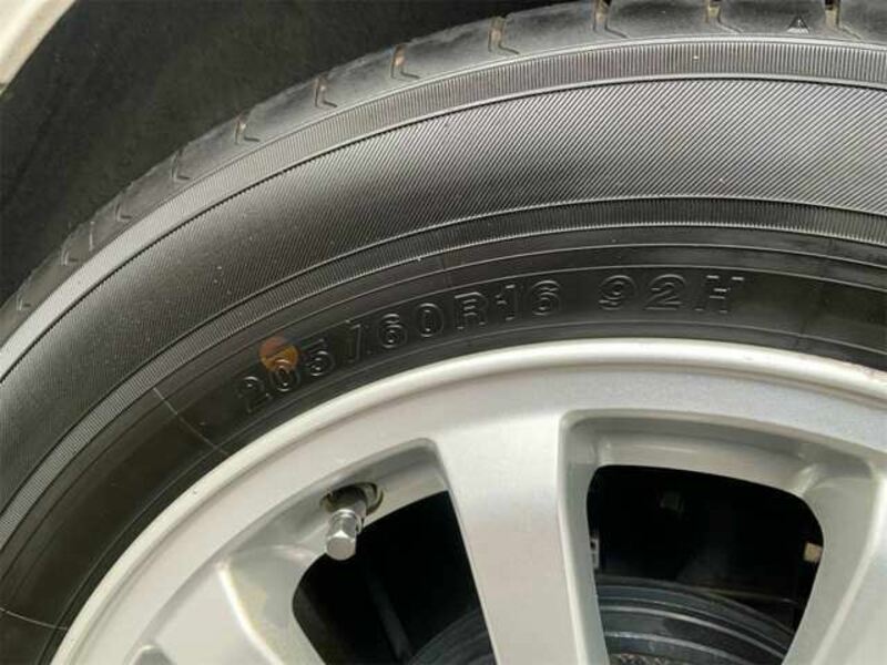 GALANT FORTIS