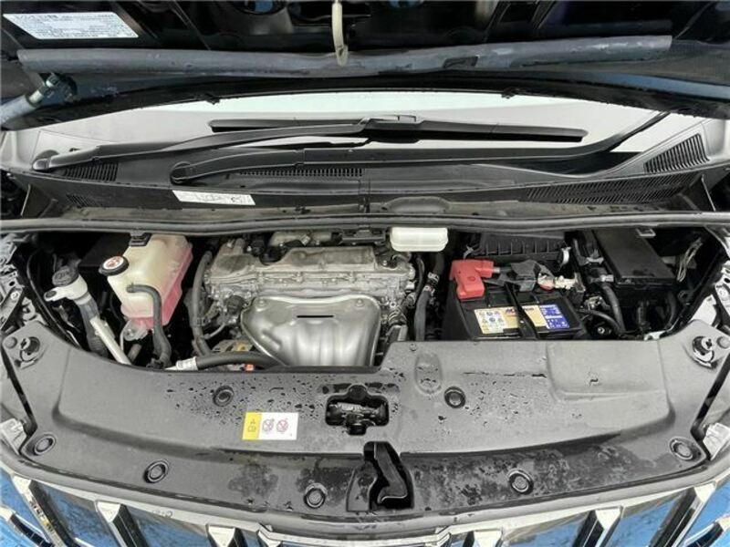 ALPHARD-6