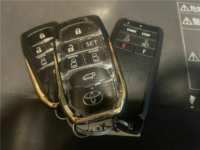 ALPHARD-49