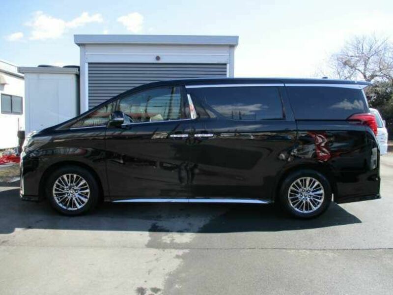 ALPHARD-3