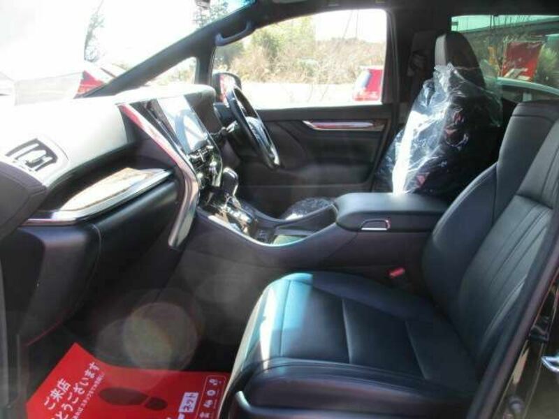 ALPHARD-10