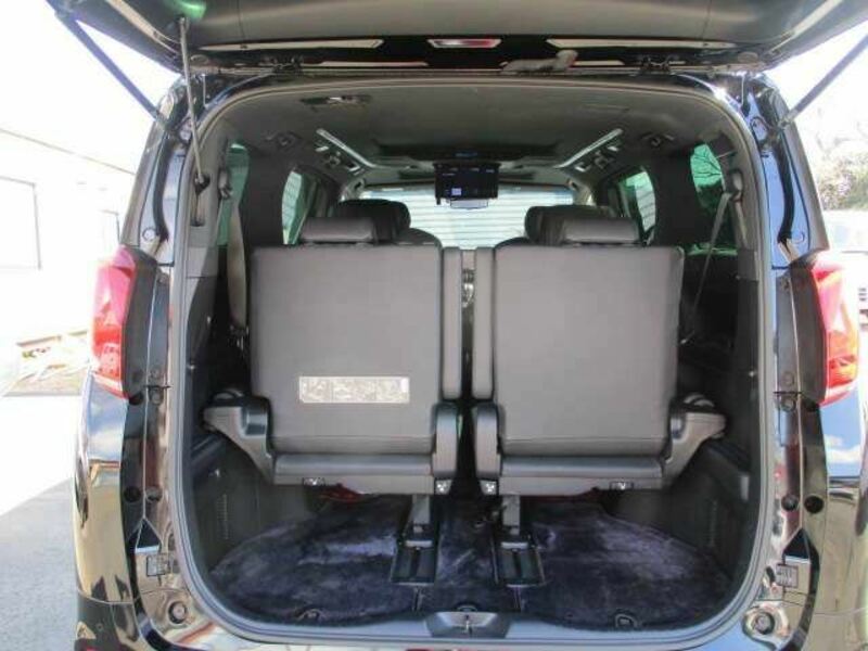ALPHARD-12
