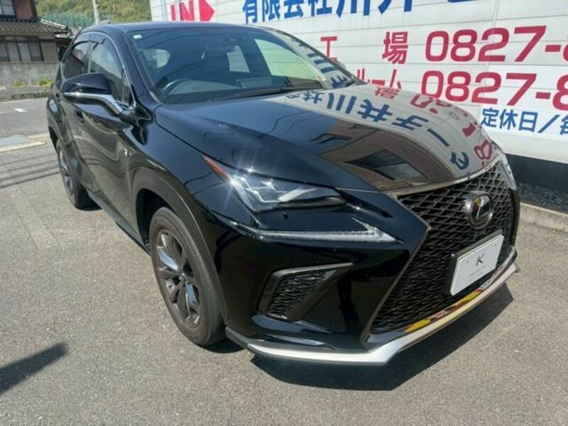 LEXUS NX