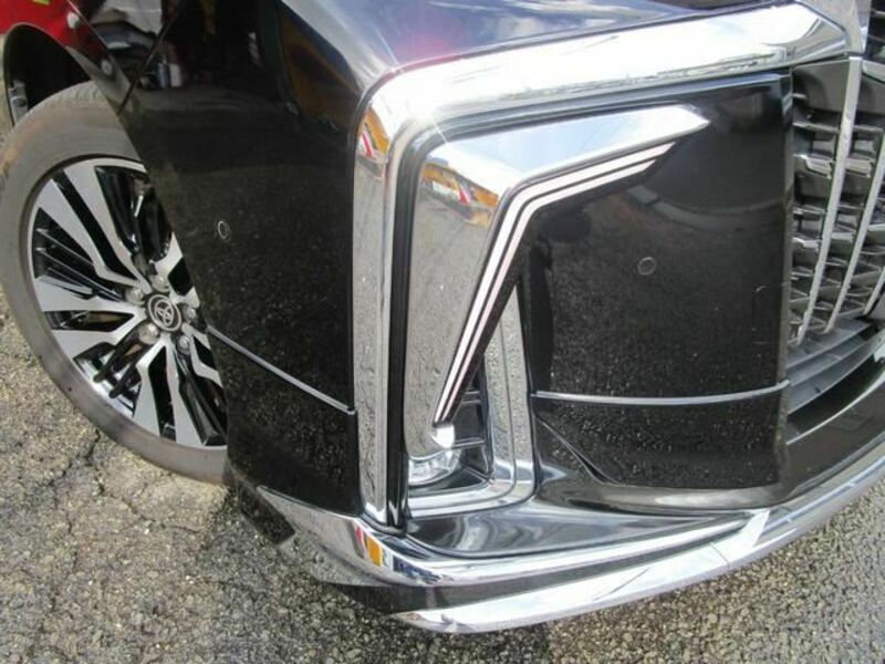 ALPHARD-8
