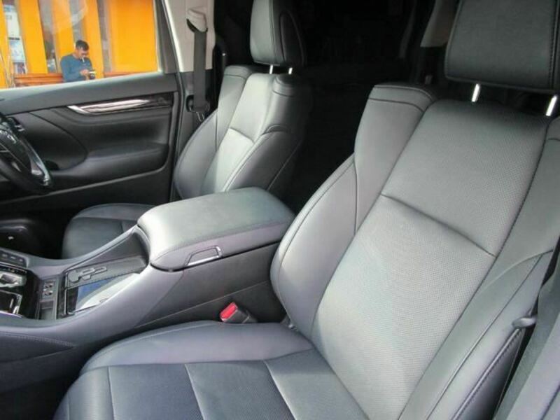 ALPHARD-13