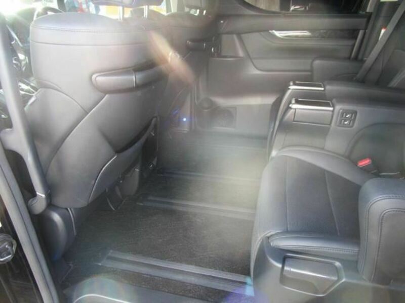ALPHARD-17