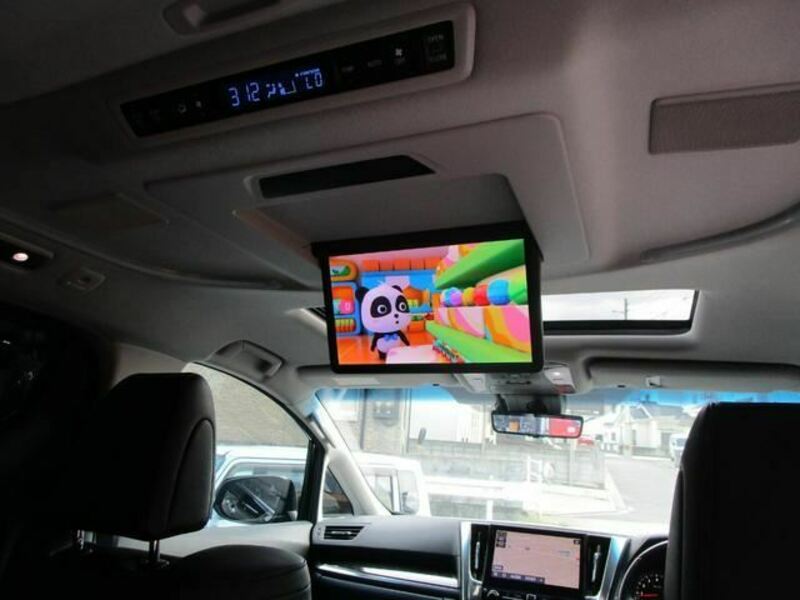 ALPHARD-27