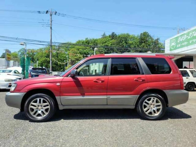 FORESTER