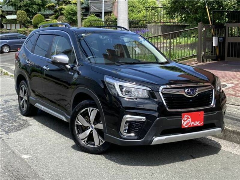 FORESTER