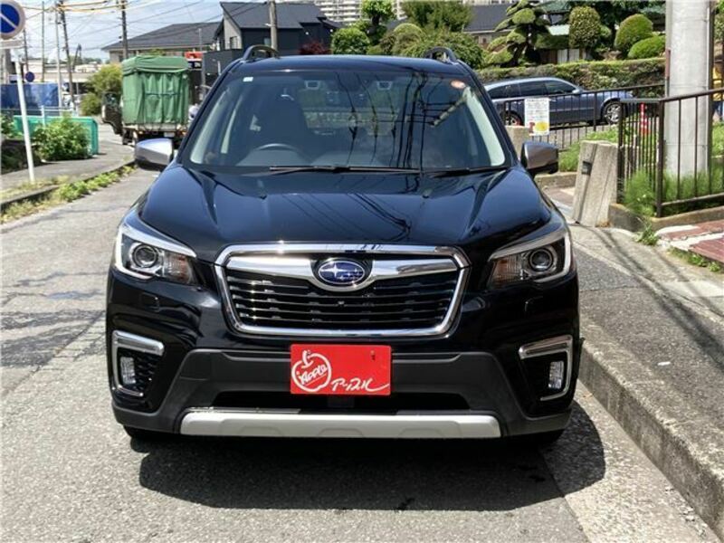 FORESTER-1
