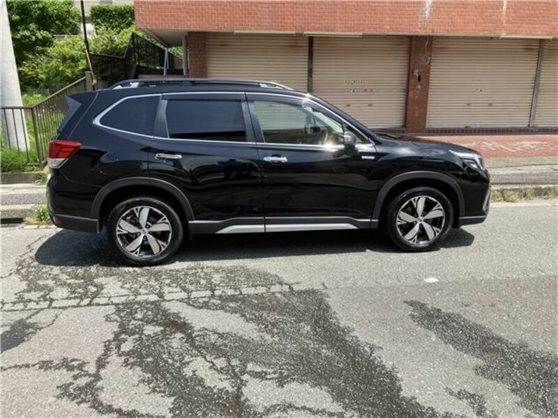 FORESTER-6
