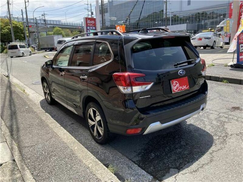 FORESTER-7