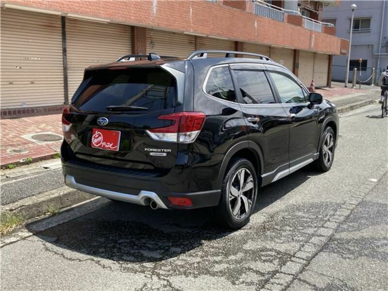 FORESTER-8